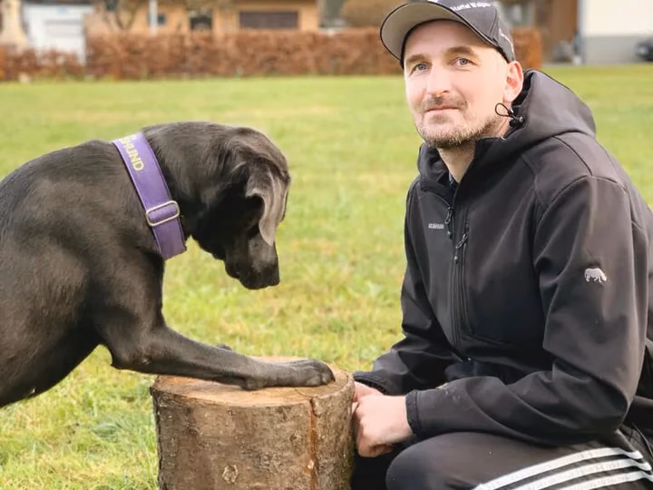 Hund beim koordinierten Fitnesstraining