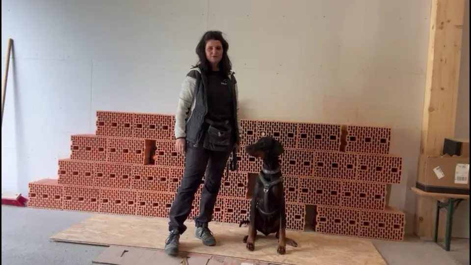 Halterin steht mit Dobermann-Hündin Diva vor gestapelten Ziegelsteinen