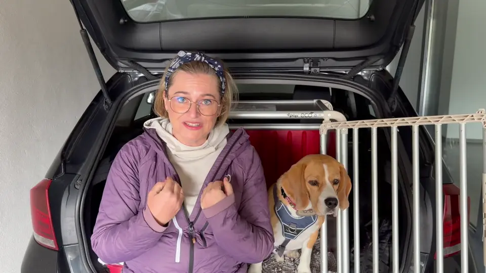Diana sitzt mit Beagle Henry im offenen Kofferraum